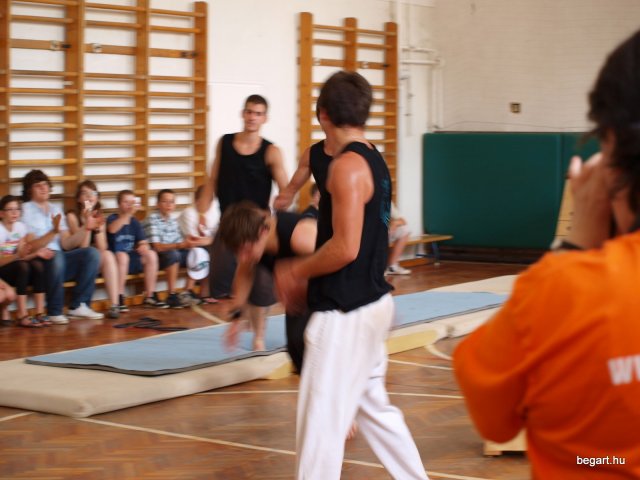2010 DÖK nap