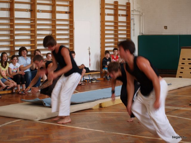 2010 DÖK nap