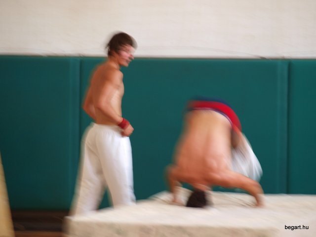 2010 DÖK nap