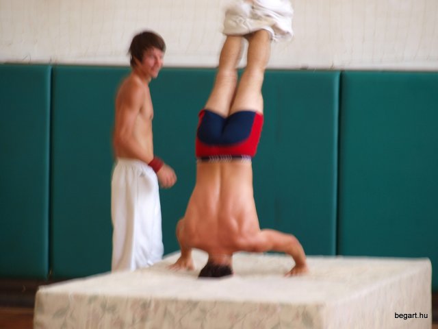 2010 DÖK nap