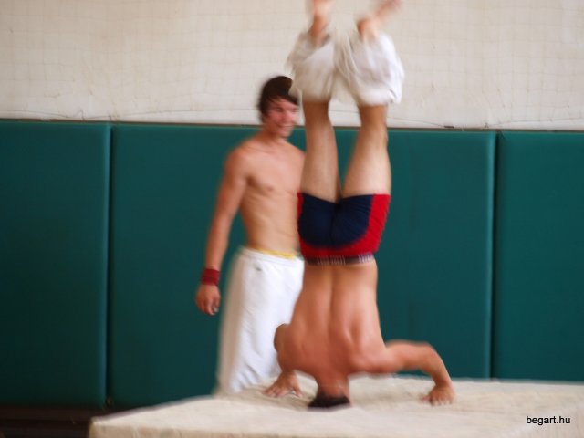 2010 DÖK nap