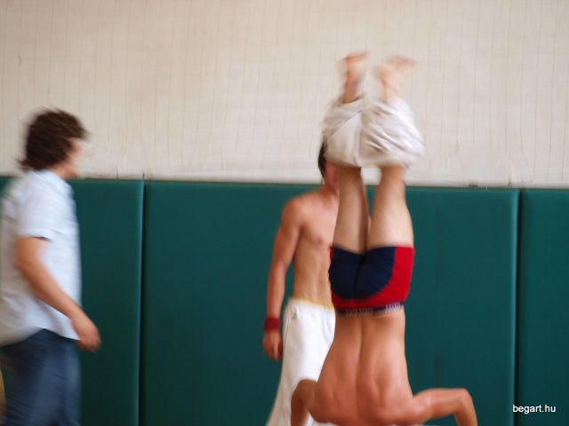 2010 DÖK nap