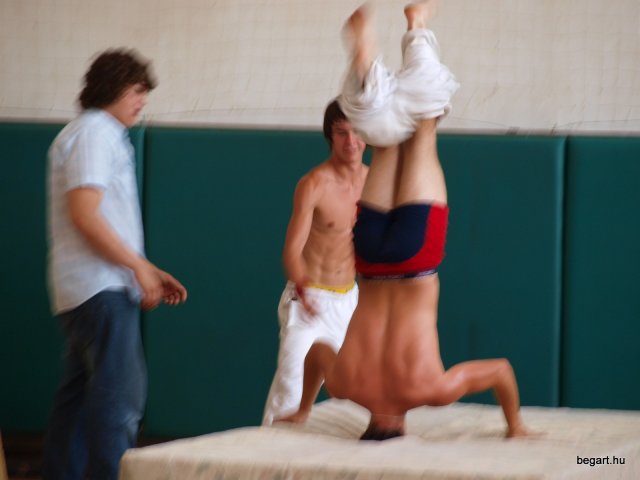 2010 DÖK nap