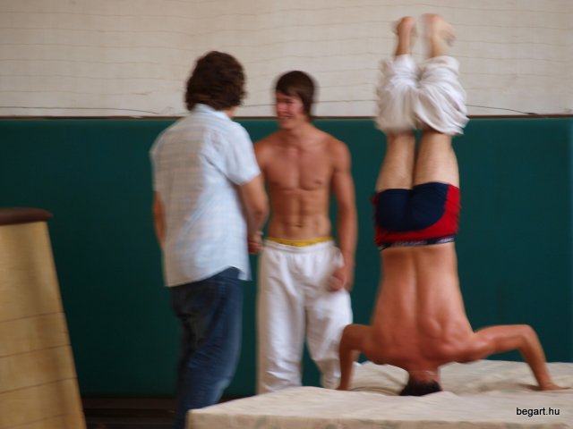 2010 DÖK nap