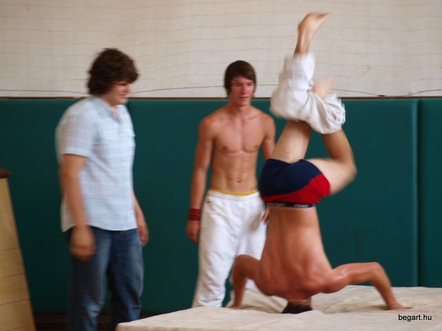 2010 DÖK nap