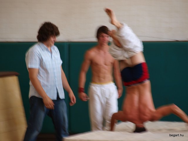 2010 DÖK nap