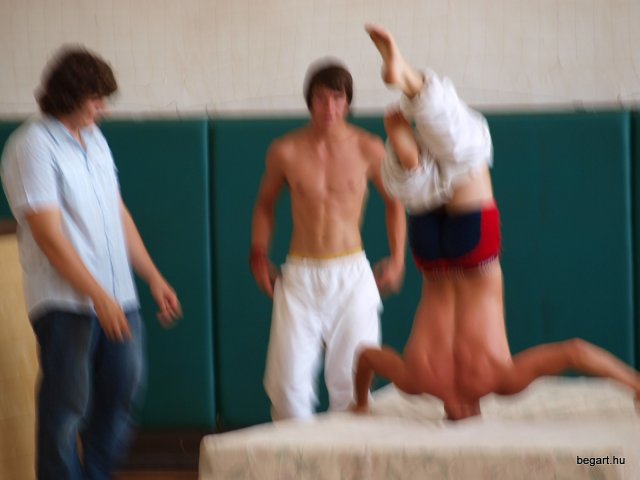 2010 DÖK nap