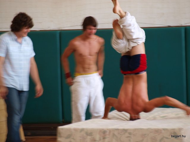 2010 DÖK nap