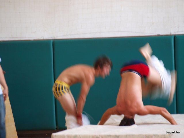 2010 DÖK nap