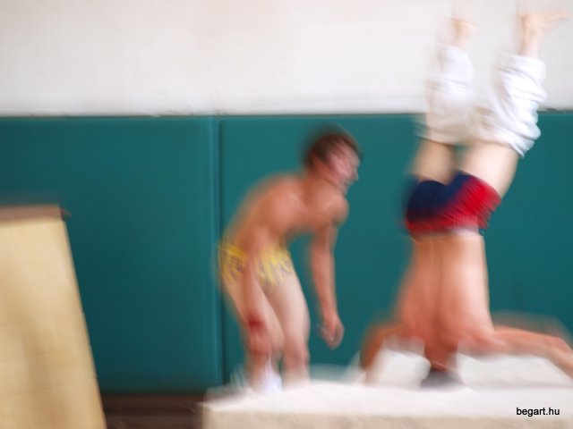 2010 DÖK nap