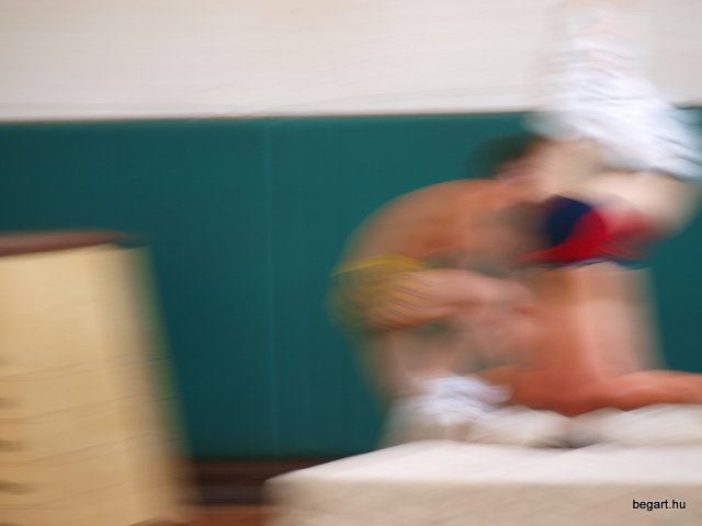 2010 DÖK nap