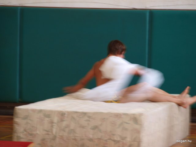 2010 DÖK nap