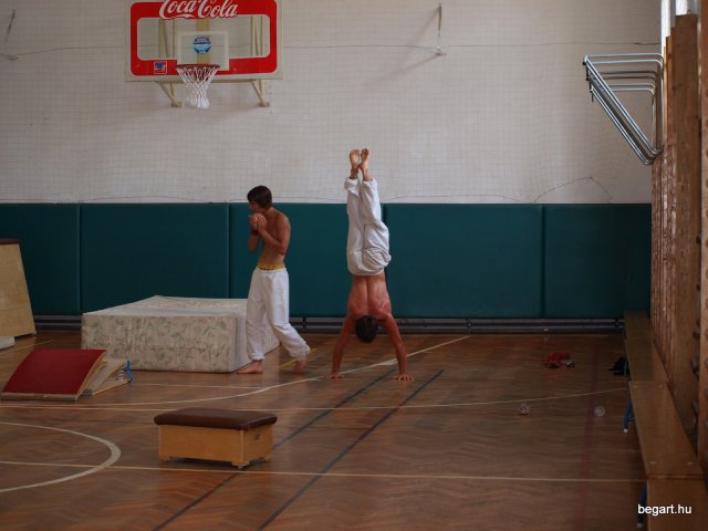 2010 DÖK nap
