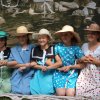 2010 DÖK nap