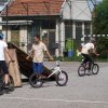 2010 DÖK nap