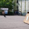 2010 DÖK nap