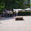 2010 DÖK nap