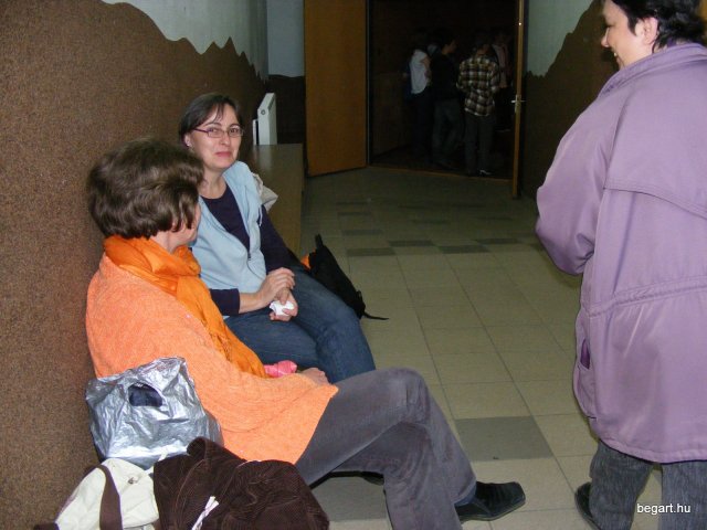 2010 Gólyanap