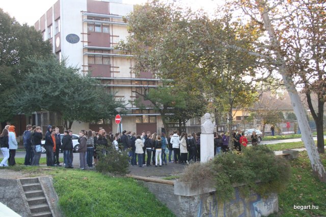 2010 Gólyanap