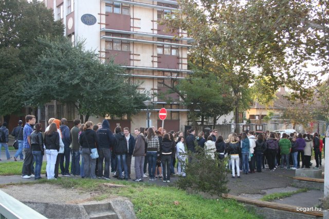 2010 Gólyanap