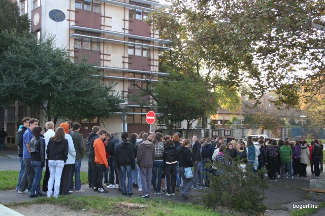 2010 Gólyanap