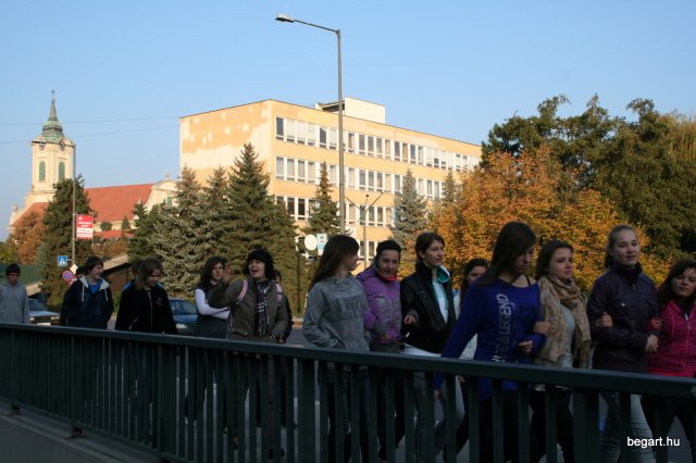 2010 Gólyanap