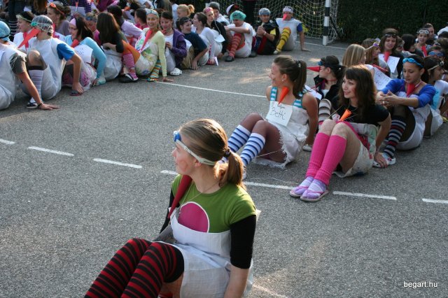 2010 Gólyanap