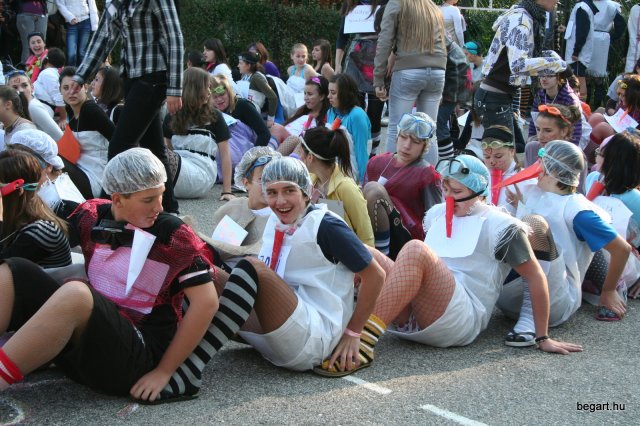 2010 Gólyanap