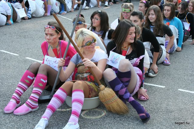 2010 Gólyanap