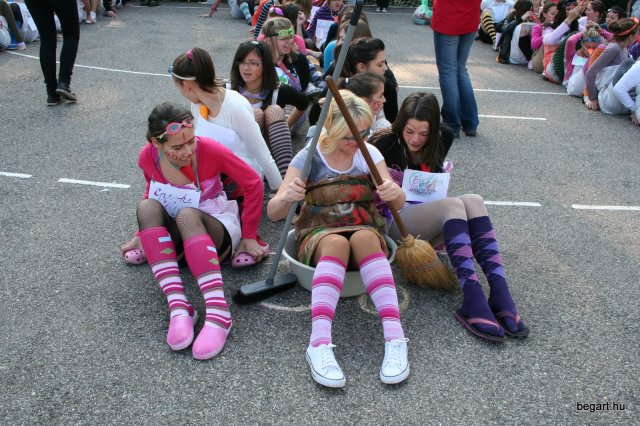 2010 Gólyanap
