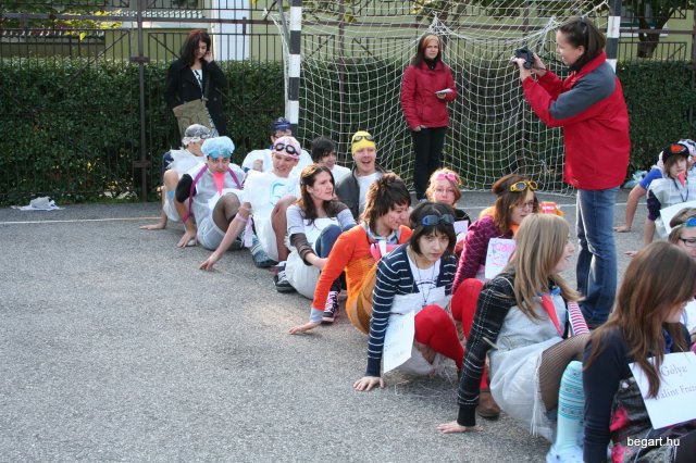 2010 Gólyanap