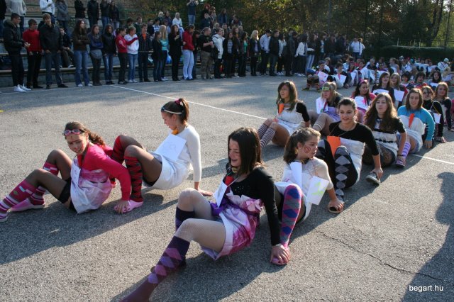 2010 Gólyanap