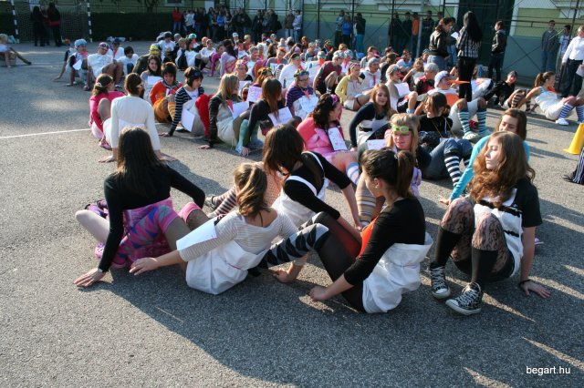 2010 Gólyanap
