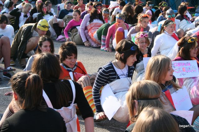 2010 Gólyanap