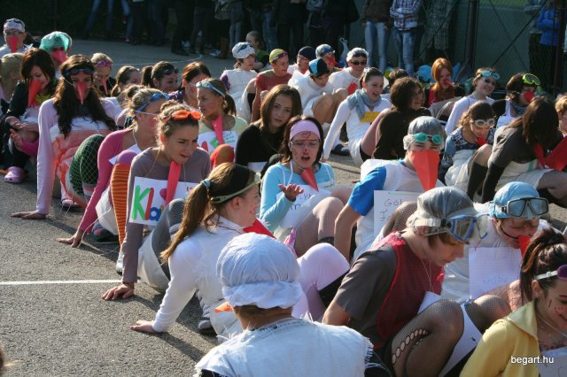 2010 Gólyanap