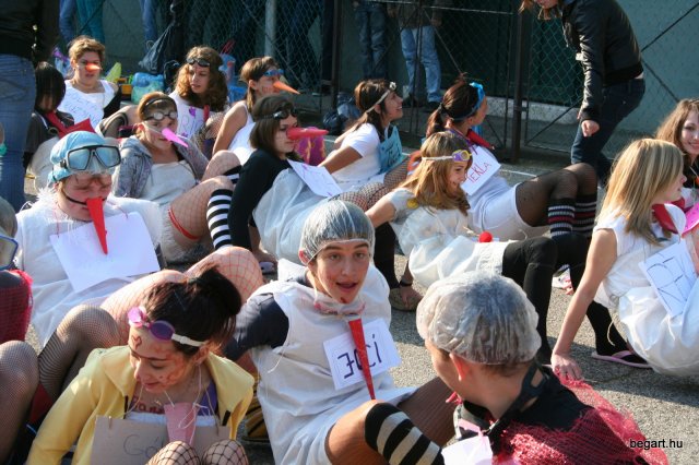 2010 Gólyanap