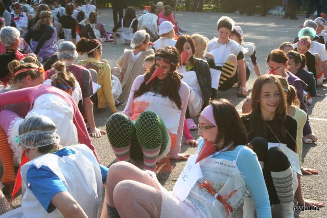 2010 Gólyanap