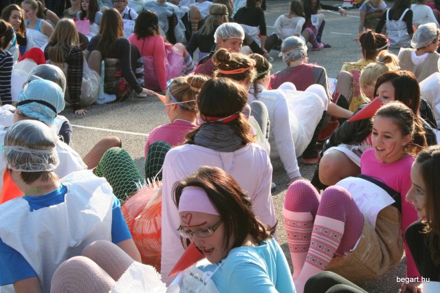 2010 Gólyanap