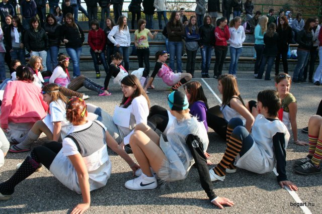2010 Gólyanap