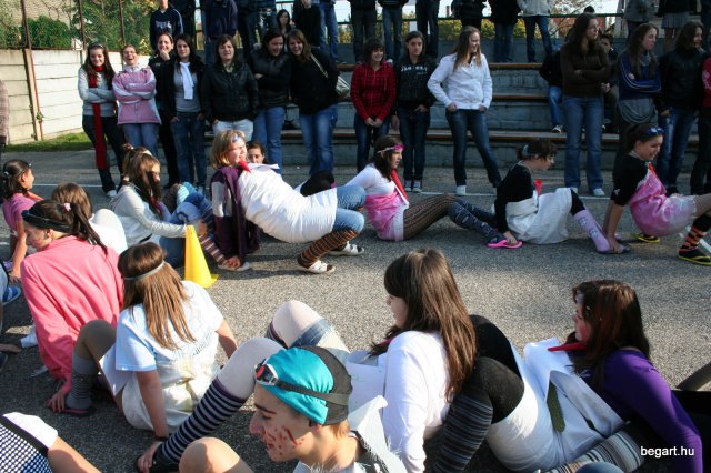 2010 Gólyanap