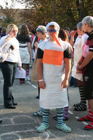 2010 Gólyanap