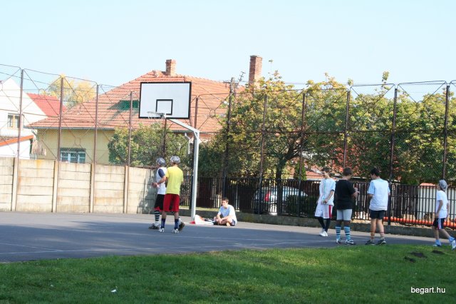 2010 Gólyanap
