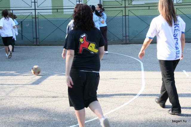 2010 Gólyanap