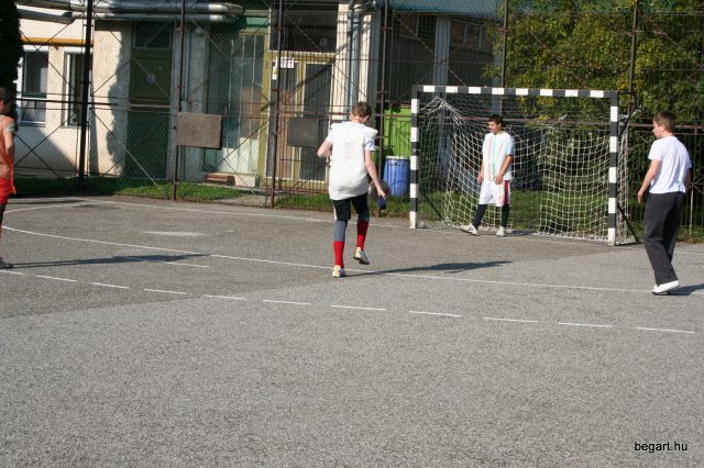2010 Gólyanap