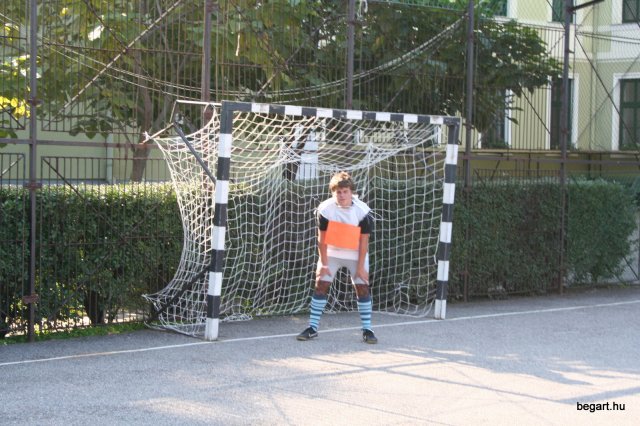 2010 Gólyanap