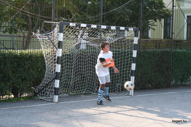 2010 Gólyanap