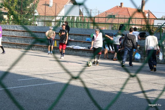 2010 Gólyanap