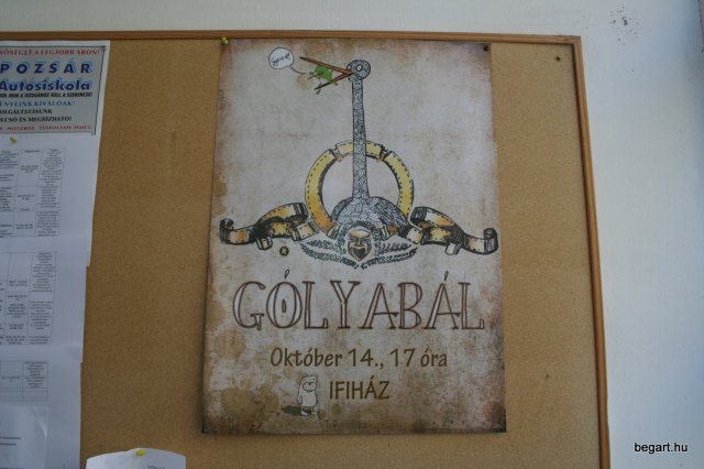 2010 Gólyanap