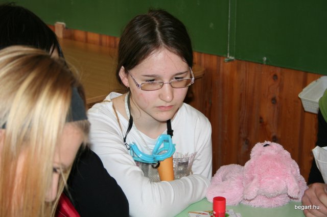 2010 Gólyanap