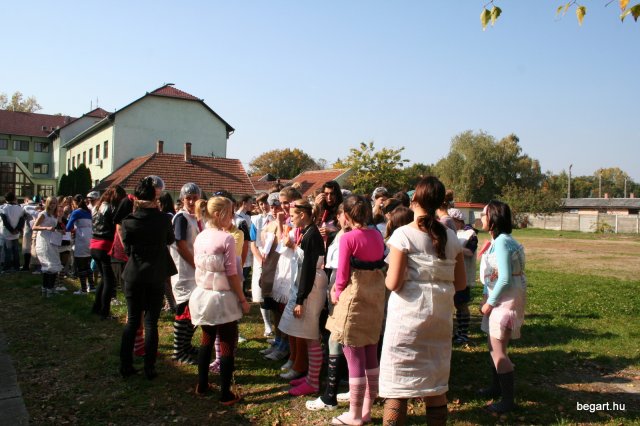 2010 Gólyanap